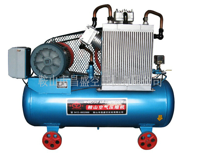 空壓機(jī)細(xì)分市場(chǎng)發(fā)展?fàn)顩r分析。